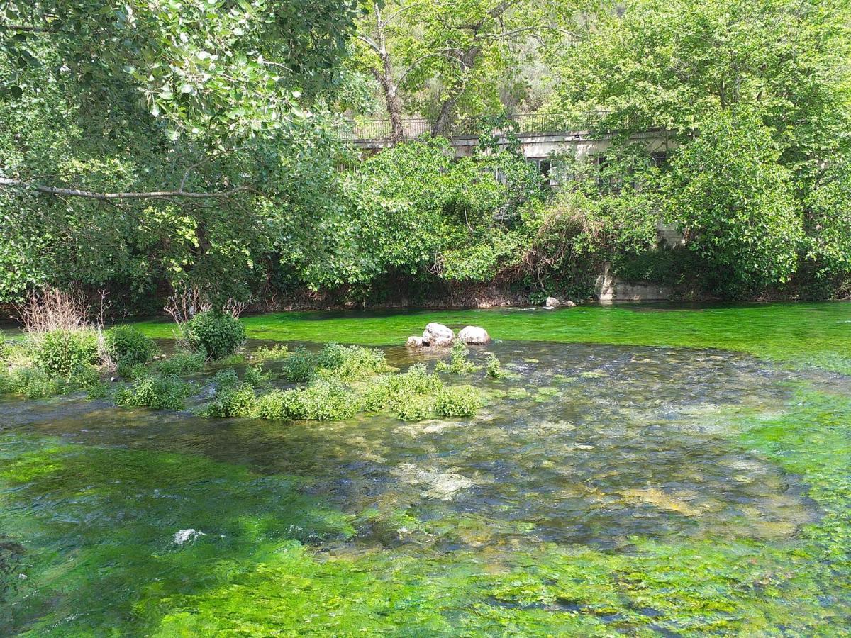 Maison Au Coeur De Fontaine De Vaucluse, Nichee Sur Le Rocher Et Surplombant La Sorgue المظهر الخارجي الصورة